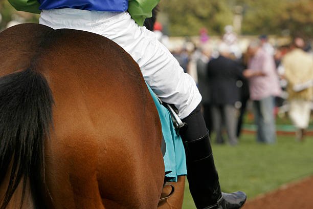 Preakness